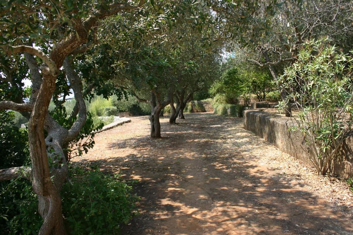 Appartamento In Villa Fortunata Terra Marina Serra Exterior foto